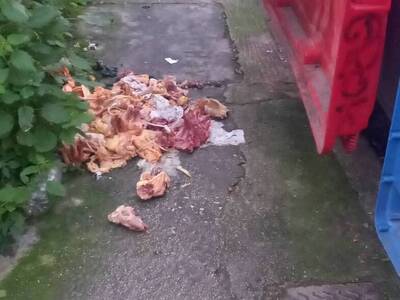 Πάτρα: Πρόστιμα από τον Δήμο για τα πετα...