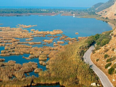 ΟΙΚΙΠΑ: Κινδυνεύει με ολοκληρωτικό αφανι...