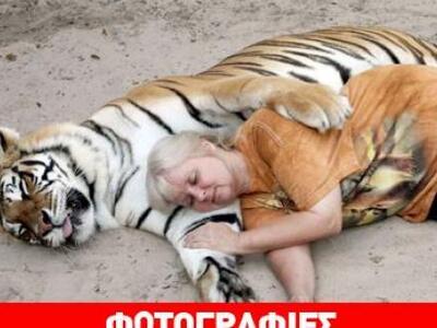 Η γυναίκα που ζει παρέα με δύο τίγρεις