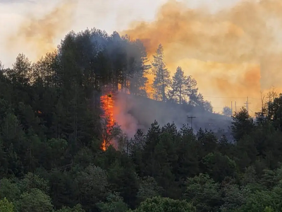 Γρεβενά: Φωτιά σε 4 διαφορετικές εστίες ...