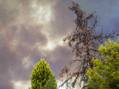 Πάτρα: Τι λέει ο πατέρας του 21χρονου πο...