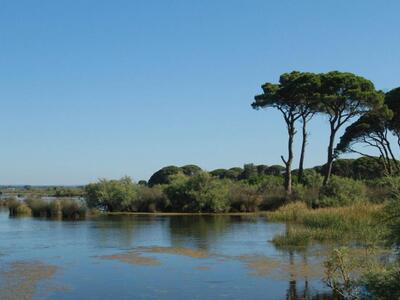 Ελεύθεροι οι μαστροποί που έστησαν υπαίθ...