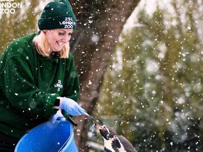 Φωτιά στον ζωολογικό κήπο του Λονδίνου –...
