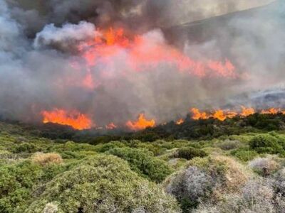 Πρόεδρος κοινότητας στην Άνδρο απειλούσε...