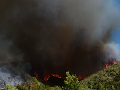 «Το Χαμόγελο του Παιδιού»: Πανελλαδική σ...