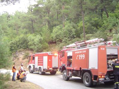 Ναύπακτος: Σε εξέλιξη πυρκαγιά στον Πλατανίτη