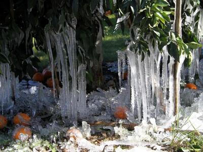 Καταστροφή σε Δυτική Αχαΐα και Ηλεία - 2...