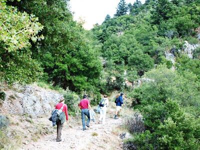 Μια «all inclusive Escape» εμπειρία στα Καλάβρυτα