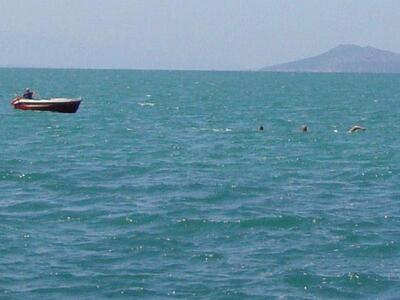 7ος κολυμβητικός διάπλους Αμβρακικού