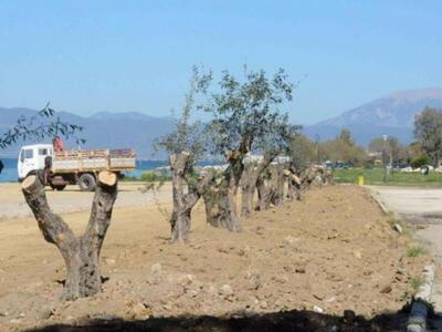 Πάτρα:Το νότιο πάρκο σήμερα ...πρασινίζε...