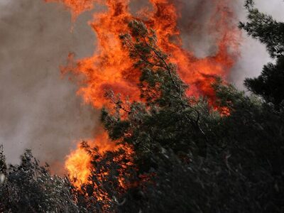 Δυτ.Ελλάδα: Νέα φωτιά στην Ηλεία 