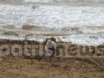 Ηλεία: Έτρεχαν στην θάλασσα για να μαζέψ...