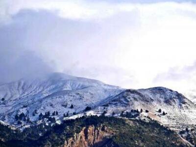 Την πρωτοχρονιάτικη πίτα του στο Παναχαϊ...