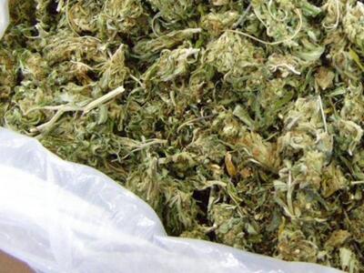 Ηλεία - Πύργος: Συνελήφθη 53χρονος με πά...