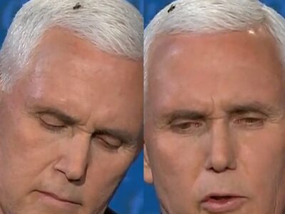 Εκλογές- ΗΠΑ: Η μύγα στο κεφάλι του Πενς...