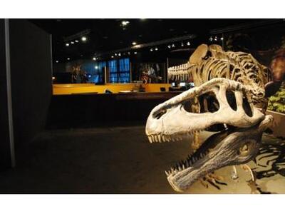 Μία εντυπωσιακή έκθεση για τους Δεινόσαυ...