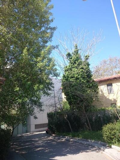 Πίσω μέρος της veso mare.