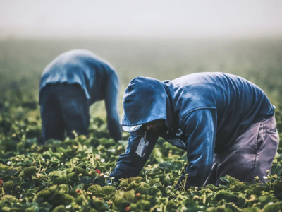 Νεοχώρι Μεσολογγίου: Προσαγωγές σε έρευν...