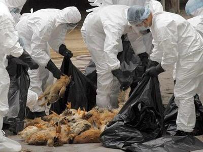 Παγκόσμια ανησυχία: Μεταλλαγμένος ιός τη...