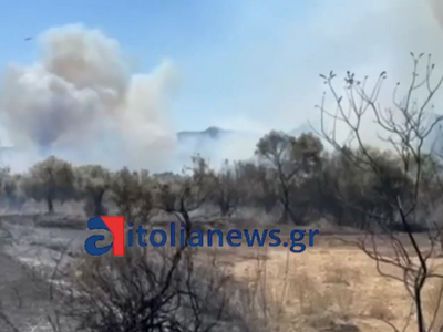 Δυτ. Ελλάδα: Φωτιά στην Πάλαιρο - Μεγάλη...