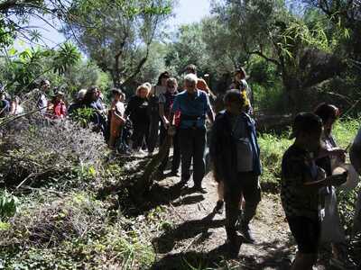 Πλήθος κόσμου συμμετείχε στον καθαρισμό του ρέματος της Νερομάνας στην Κρήνη Πάτρας- ΦΩΤΟ