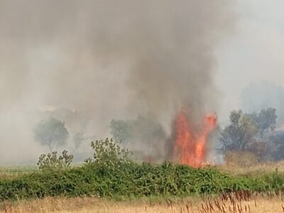 Αγρίνιο: Η Πυροσβεστική πρόλαβε φωτιά κα...