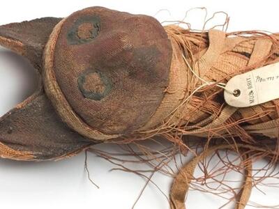 Πώς οι γάτες κατέκτησαν τον κόσμο