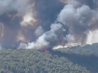 Φωτιά στη Χαλκιδική: Μάχη με τις φλόγες ...