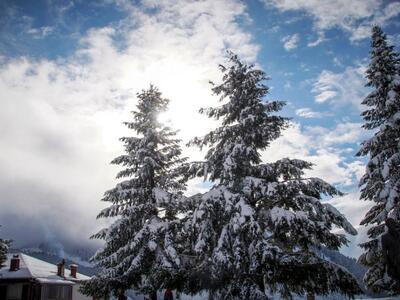 Μισό μέτρο έφτασε το χιόνι στα Τρίκαλα