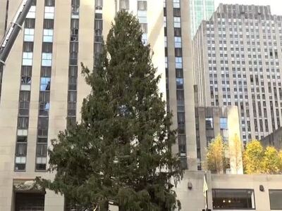 Έφτασε το Χριστουγεννιάτικο δέντρο στη Νέα Υόρκη