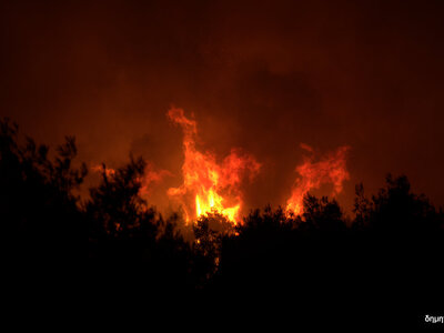 Φωτιά στη Θάσο: Καίει δάσος με πεύκα- Τρ...