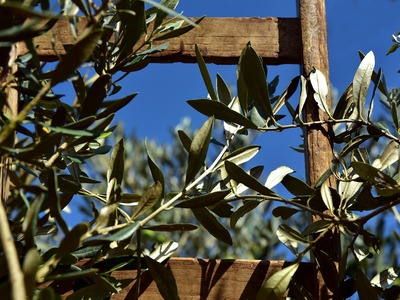 Αιτωλοακαρνανία: Νέες Πληρωμές για τις δ...