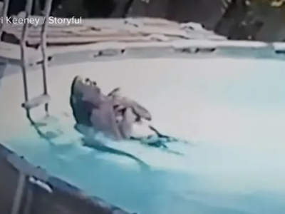 Σοκαριστική στιγμή: 10χρονος βουτάει σε ...