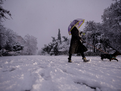 20+ Απίστευτες εικόνες από την καλυμμένη...