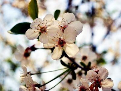 «Μύθοι…που φέρνουν την Άνοιξη» στην Βιβλιοπολιτεία