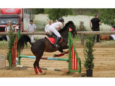 Πατραϊκός Ιππικός Όμιλος: Παμπελοποννησι...