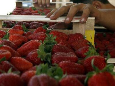 Την άμεση κινητοποίηση των αρμόδιων αρχώ...