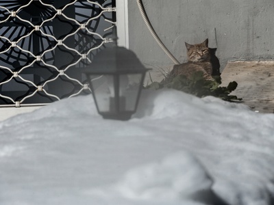 Σε ποια περιοχή της Ελλάδας το θερμόμετρ...