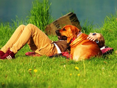 Διακοπές με το κατοικίδιό μου!