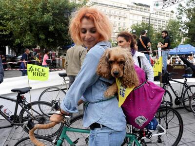 40 χιλιάδες χρόνια φίλοι άνθρωποι και σκύλοι 