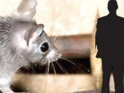 Ζάκυνθος: Έξι ύποπτα κρούσματα λεπτοσπεί...