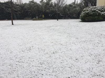 Στο Ρίον