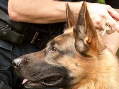 Η κρίση «χτύπησε» και τους αστυνομικούς ...