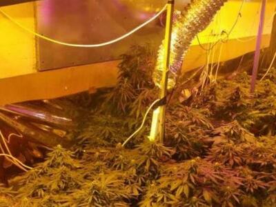 Καλλιεργούσε… τη δική του φυτεία στο δια...