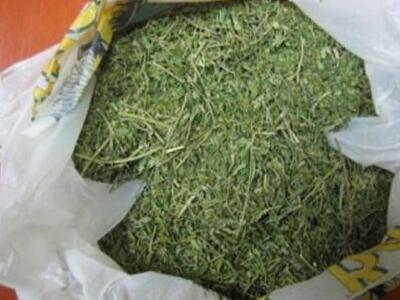 Αντρόγυνο μετέφερε μαζί με τα παιδιά του...