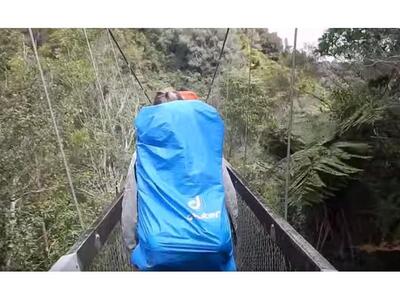 Κατέρρευσε γέφυρα και έπεσαν από ύψος 8 ...