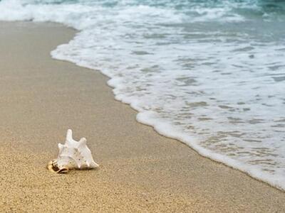 Κυριακή με Μουσική στο Πατραϊκό Ωδείο
