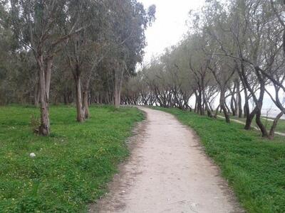 Λίγο η άνοιξη, λίγο ο Δήμος και ...απολα...