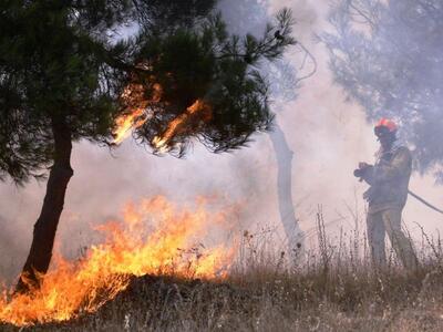Φωτιά ξέσπασε στο Σφηνάρι Χανίων