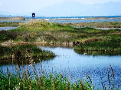Σε ανοικτή διαβούλευση η διαχείριση των ...